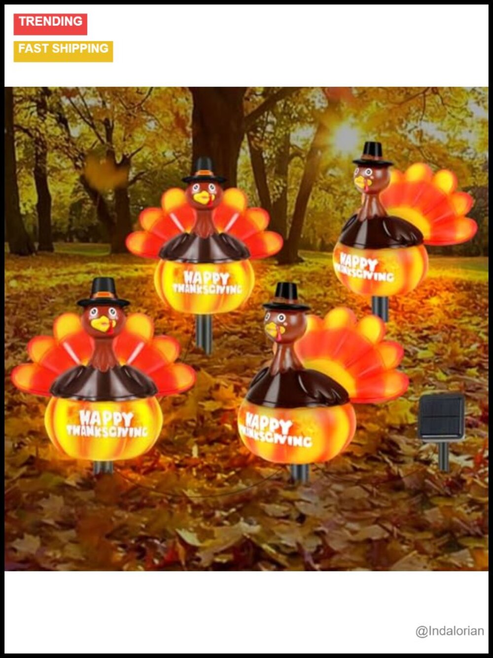 Hand Painted Turkey Pumpkin Solar Lights Outdoor Yard Stakes Fall Decor